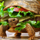 Illustration for article titled Man Unsuccessfully Smuggles a Turtle in a Hamburger